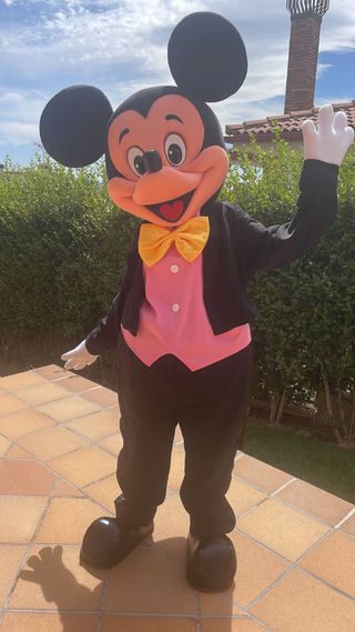 oportunidad solo hoy! Vestuario mickie cabezon