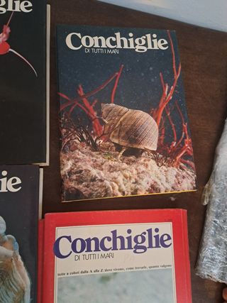 Enciclopedia  di conchiglie