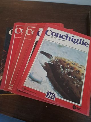 Enciclopedia  di conchiglie