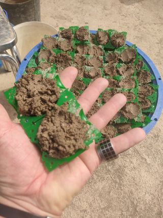 caja  de enraizamiento.