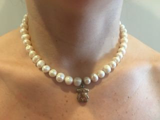 Collar de perlas cultivadas mas osito en plata