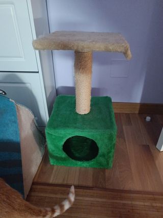 Casa gato y rascador