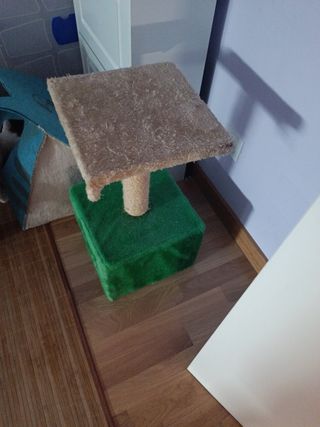 Casa gato y rascador
