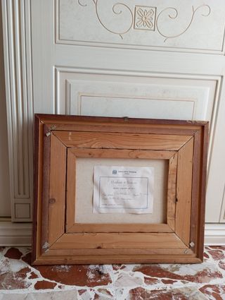 Dipinto olio su tela con cornice 
Pittore Demis 