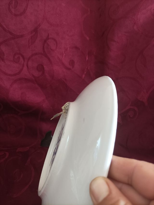 Plato de cerámica pintado a mano