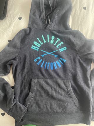 Sudadera Hollister