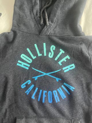 Sudadera Hollister