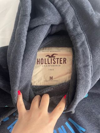 Sudadera Hollister