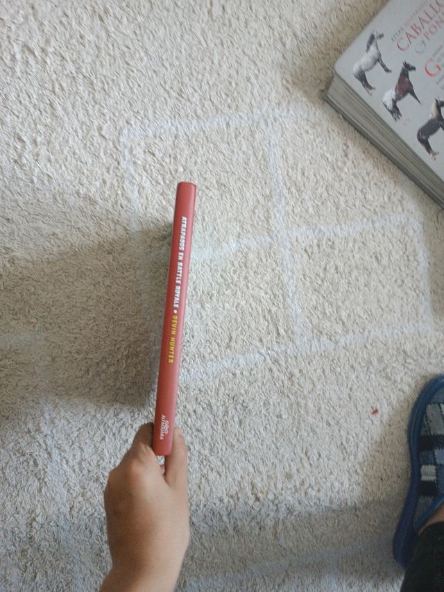 Atrapados en Battle Royale