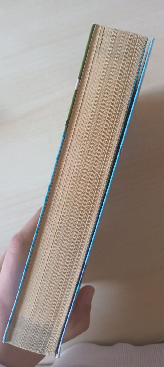 Libro: il Viaggio in Italia di Valentina