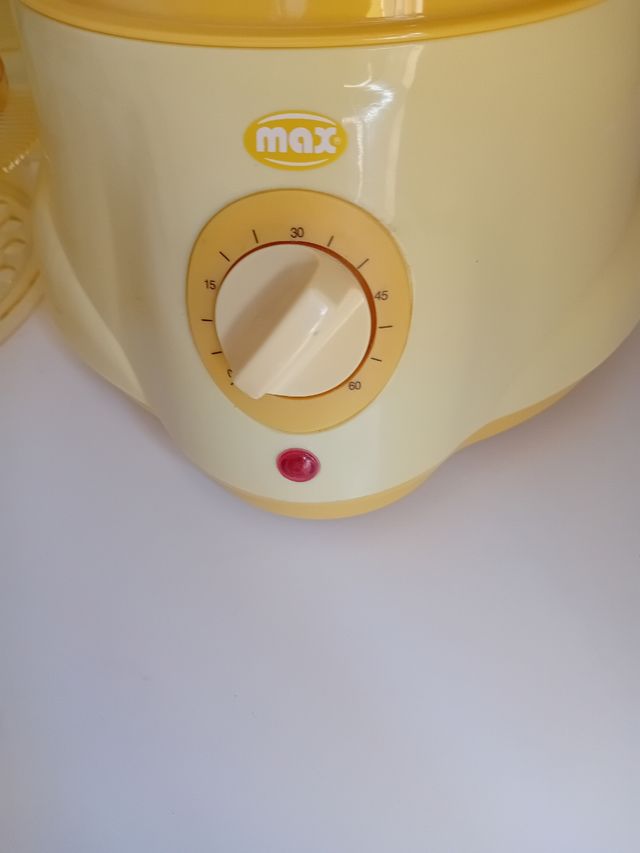 Vaporiera elettrica Max