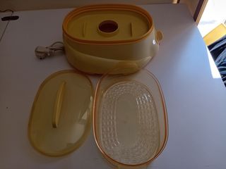 Vaporiera elettrica Max