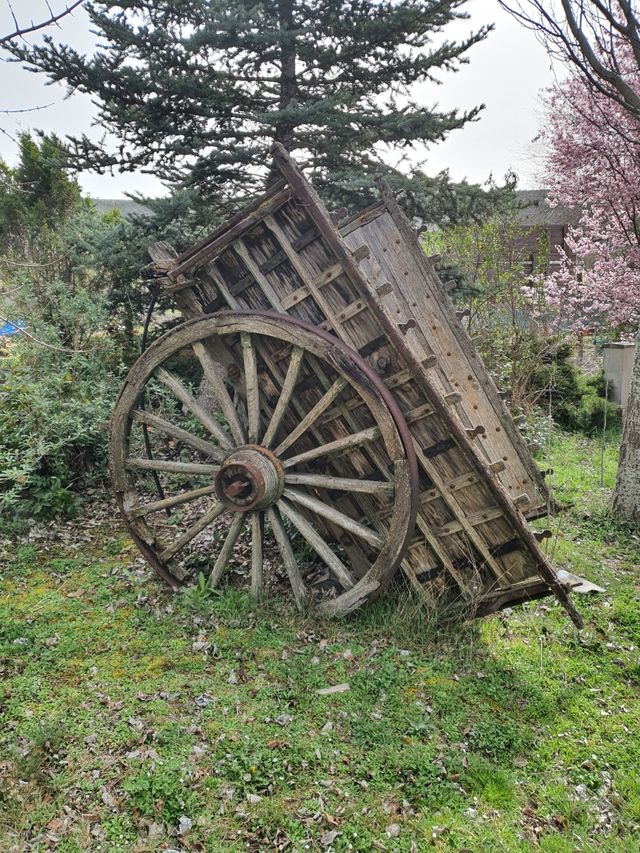 Carros y ruedas carro antiguas