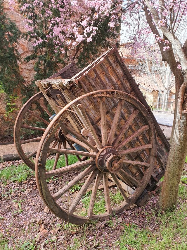 Carros y ruedas carro antiguas