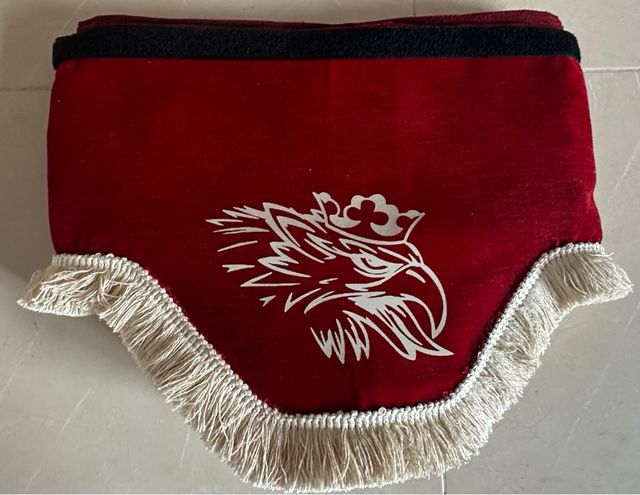 Cortinilla Visera Camión