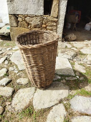 Cesto de mimbre