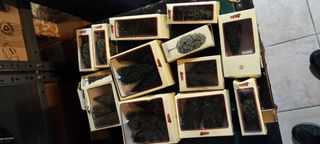 Trenini - lima - modellismo