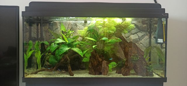 Acuario completo. negociable