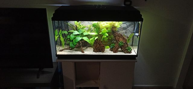 Acuario completo. negociable