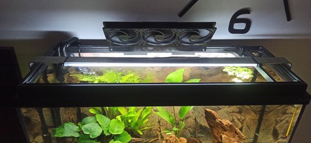 Acuario completo. negociable