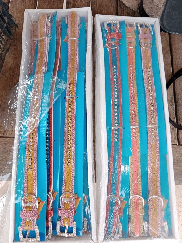 2 x 1€ CORREA Y COLLAR PERRO NUEVO