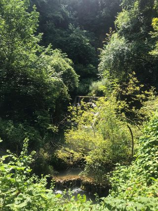 JARDINERO PARA SU HOGAR 💯 FIABLE