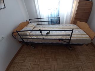 Cama ajustable articulada