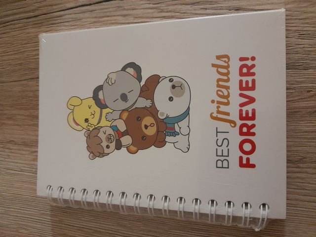 Set 2 quaderni a spirale Thun