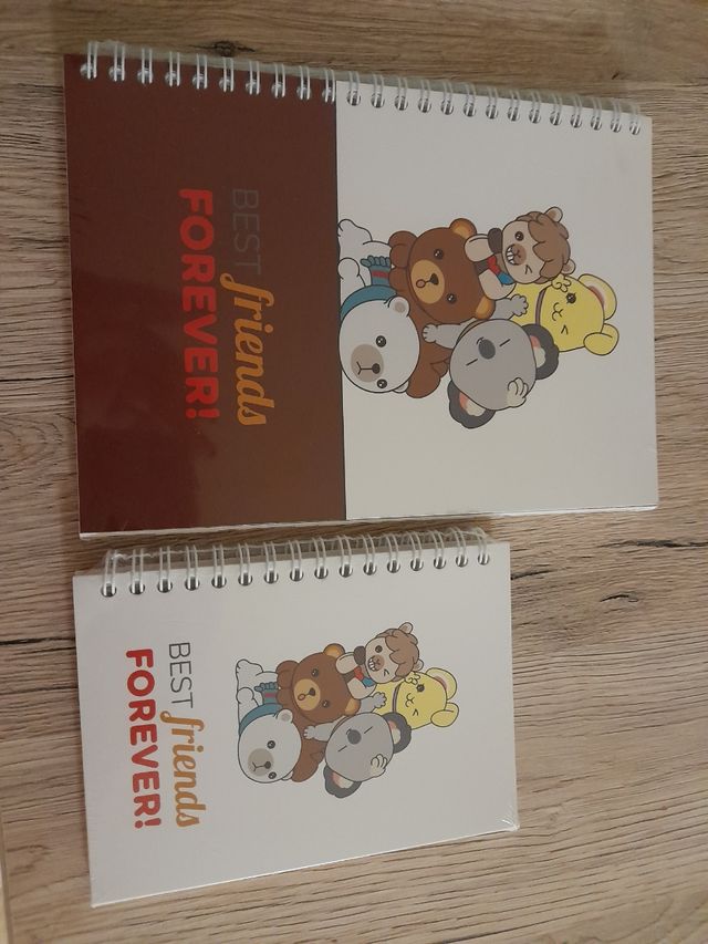 Set 2 quaderni a spirale Thun