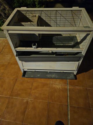 Jaula de cobaya