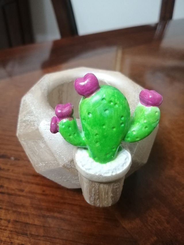 Vasetto piantine 🌵