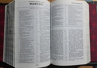 Biblia Artesanal