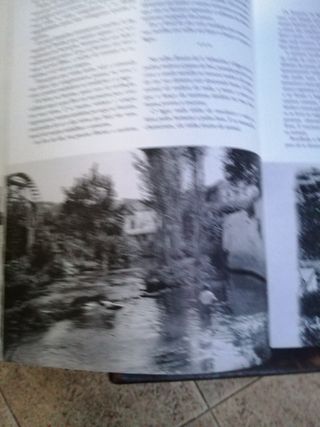 pinceladas torrejanas, joaquim rodrigues bicho