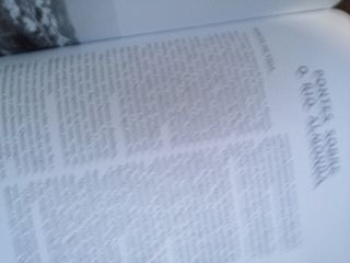 pinceladas torrejanas, joaquim rodrigues bicho