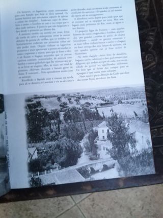 pinceladas torrejanas, joaquim rodrigues bicho