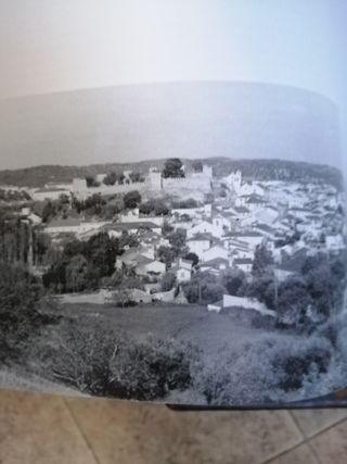 pinceladas torrejanas, joaquim rodrigues bicho