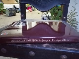 pinceladas torrejanas, joaquim rodrigues bicho