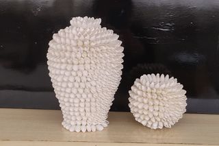 Candelieri in conchiglie