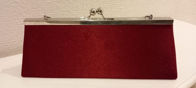 Bolso. Cartera de mano