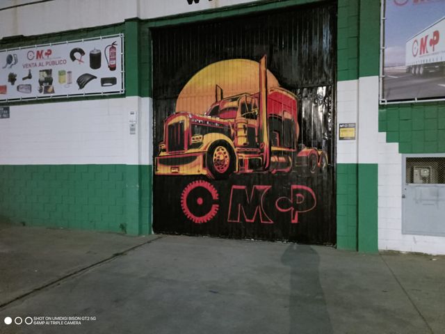 Poster MURAL PINTOR MUROS dibujo a mano en pared