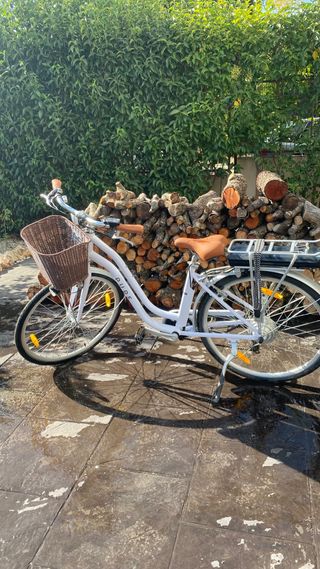 Bicicleta electrica un solo uso