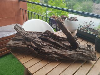 Madera para acuario.