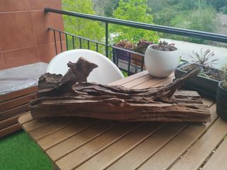 Madera para acuario.
