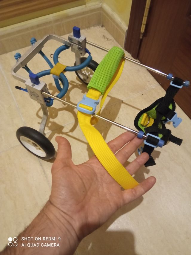 Sillas de Ruedas XS para Chihuahua