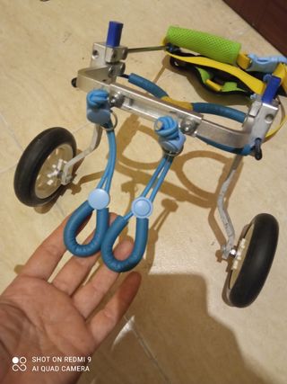 Sillas de Ruedas XS para Chihuahua