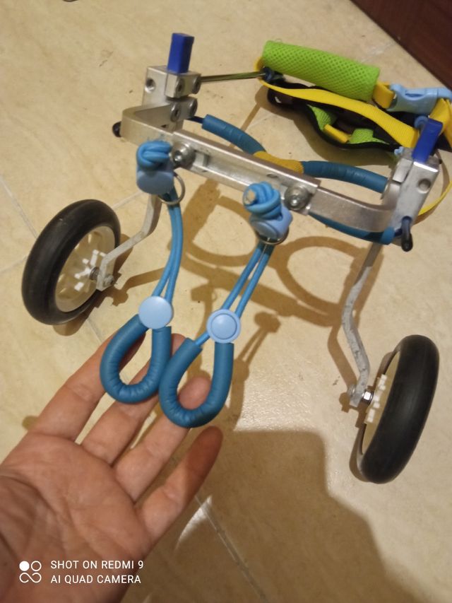 Sillas de Ruedas XS para Chihuahua