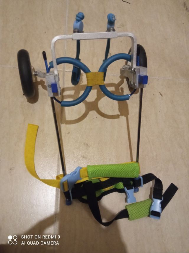 Sillas de Ruedas XS para Chihuahua