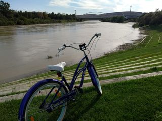 Bicicleta ELECTRA tres velocidades