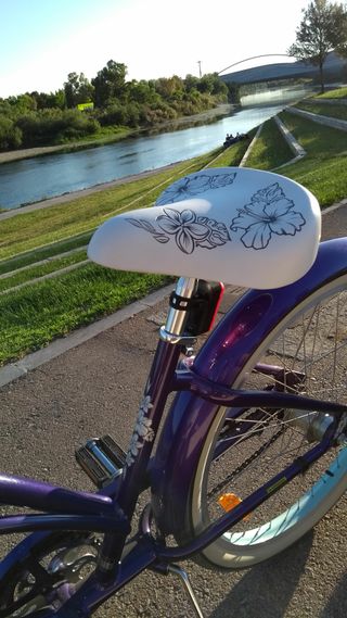 Bicicleta ELECTRA tres velocidades