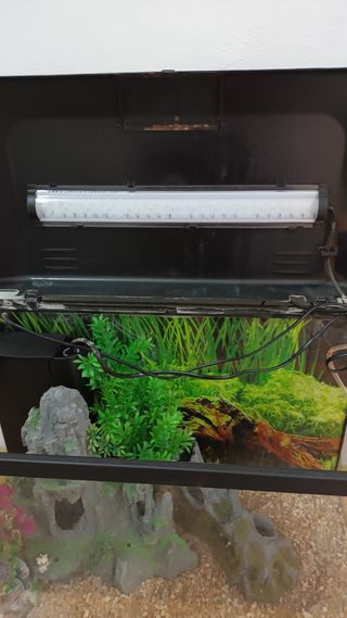 Acuario 55 litros con decoración rebajado